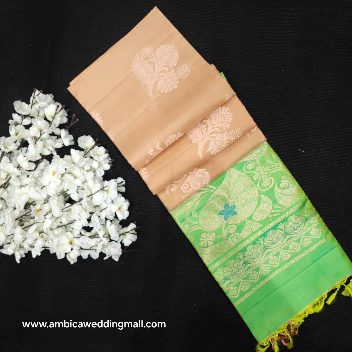 Kanchi Pattu Handloom Butta Saree