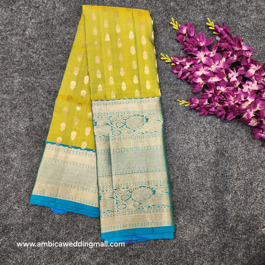 Kanchi Pattu Handloom Butta Saree