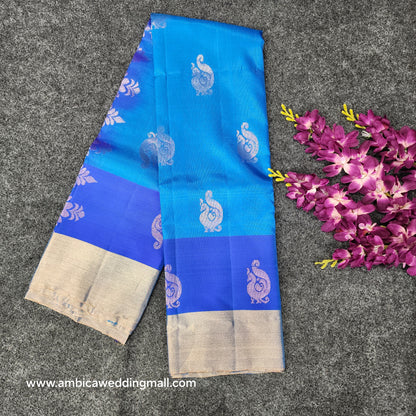 Kanchipattu lightweight Handloom Kadi Butta saree