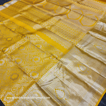 Pure Resham Pastel Kanchi Pattu self saree