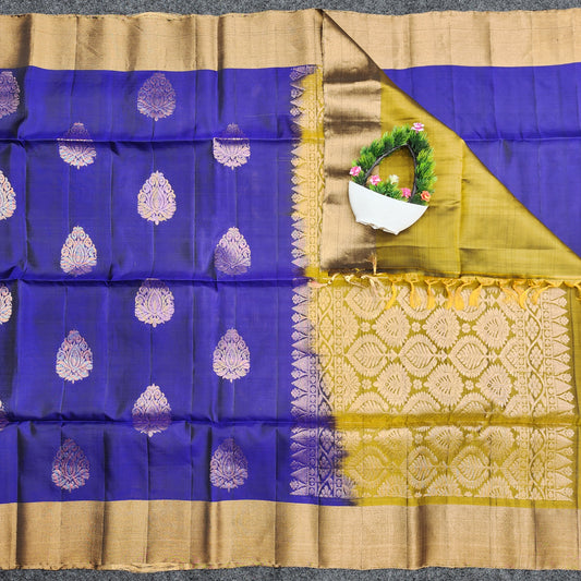 Kanchi Pattu Handloom Butta Saree