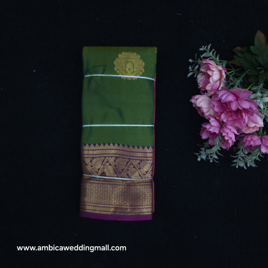 Visiri Silk Pattu Saree - V490