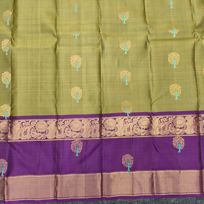 ✨Kanchi Pattu Handloom Gap Border Saree