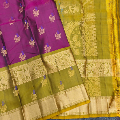 ✨Kanchi Pattu Handloom Gap Border Saree