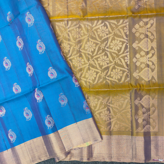 ✨Kanchi Pattu Bentex Border Saree