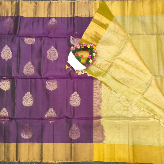 Kanchi Pattu Handloom Butta Saree