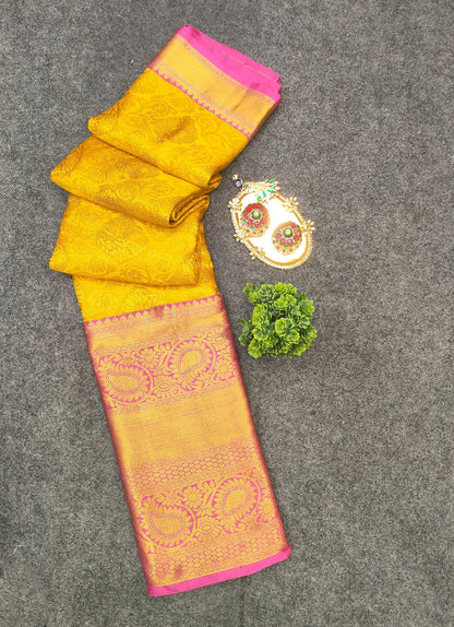 Kanchi Pattu Long Border Brocade Sarees