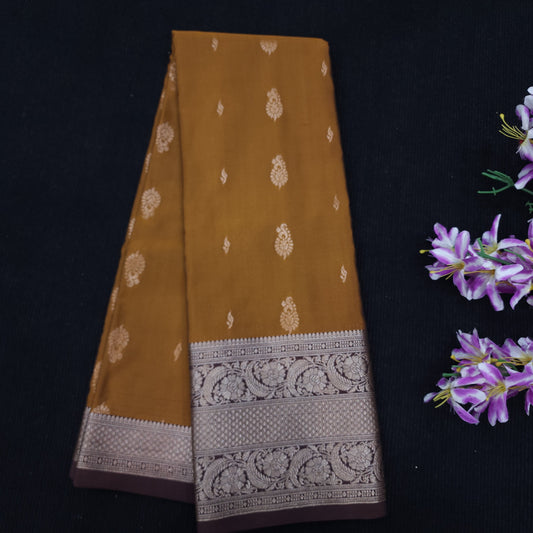 Banaras pattu saree ✨️
