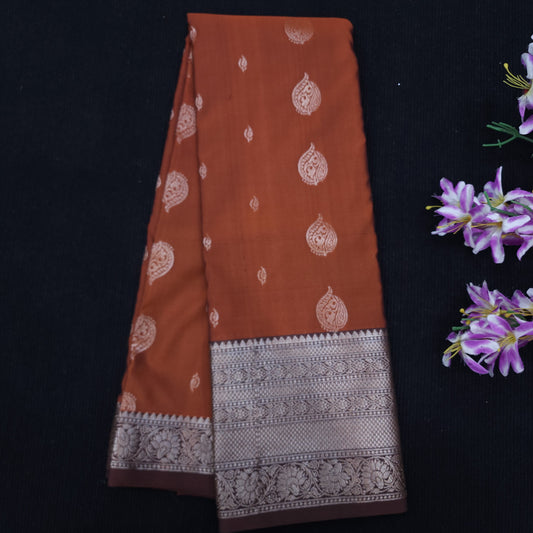 Banaras pattu saree ✨️