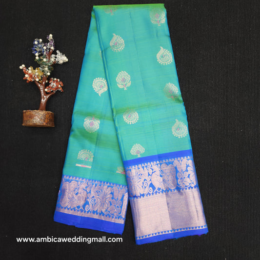 Kanchi Pattu Handloom Butta sarees ✨️