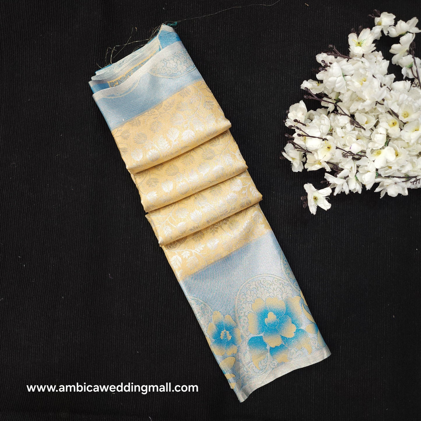 Skirt Border Kanchi Pattu Saree