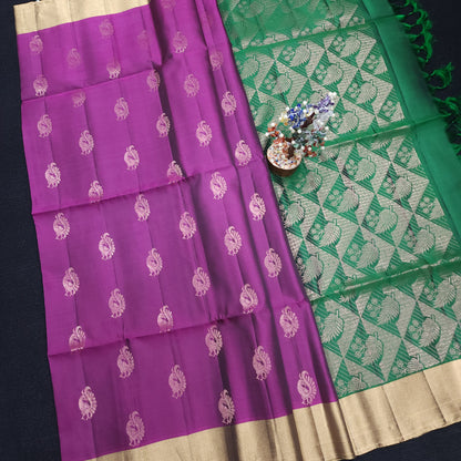 Kanchi Pattu Handloom Butta Saree