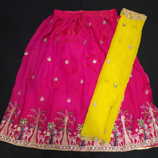 Banaras Fancy Half Saree