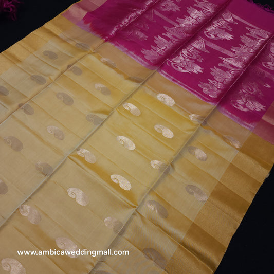 Kanchi Pattu Handloom Butta Saree