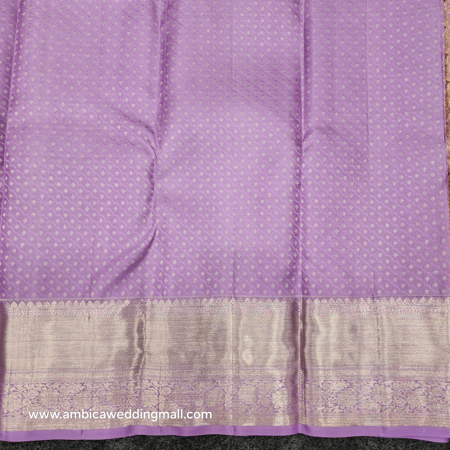 Pure Resham Pastel Kanchi Pattu self saree