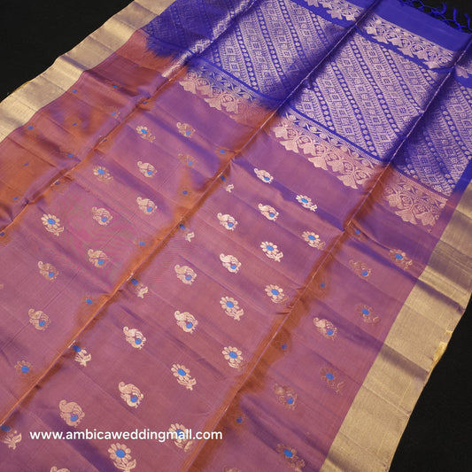 Kanchi Pattu Handloom Butta Saree