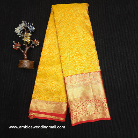 Kanchi Pattu Reshma Saree✨️