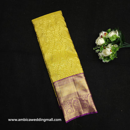 Kanchi Brocade Pattu Saree
