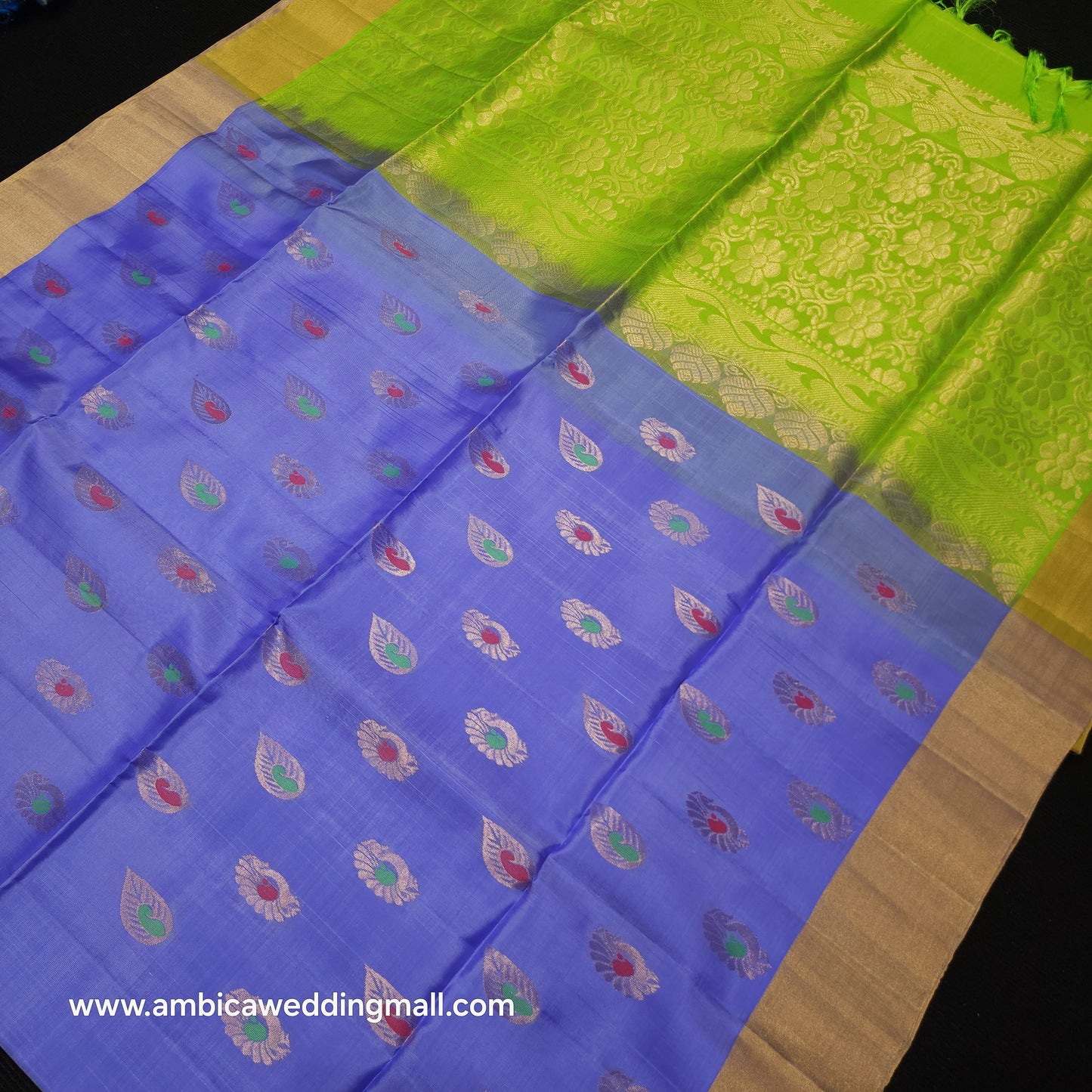 Kanchi Pattu Handloom Butta Saree