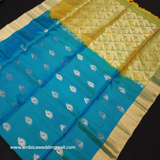 Kanchi Pattu Handloom Butta Saree